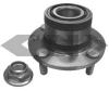 SPIDAN 26879 Wheel Bearing Kit