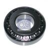 DT 2.50062 (250062) Wheel Bearing