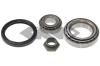 SPIDAN 26468 Wheel Bearing Kit