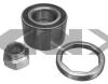 SPIDAN 26508 Wheel Bearing Kit