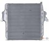 BEHR 8ML376724-061 (8ML376724061) Intercooler, charger