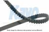 KAVO PARTS DTB-5501 (DTB5501) Timing Belt