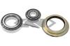 SPIDAN 26890 Wheel Bearing Kit