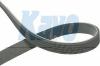 KAVO PARTS DMV-2050 (DMV2050) V-Ribbed Belts