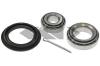 SPIDAN 26431 Wheel Bearing Kit