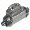 DELPHI LW37551 Wheel Brake Cylinder