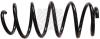 MAPCO 71863 Coil Spring