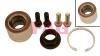 FAG 713691120 Wheel Bearing Kit