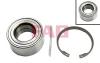 FAG 713619840 Wheel Bearing Kit