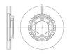 ROADHOUSE 666910 Brake Disc