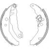 REMSA 418501 Brake Shoe Set