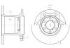 REMSA 624300 Brake Disc