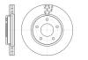 REMSA 61291.10 (6129110) Brake Disc
