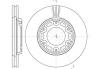 ROADHOUSE 663410 Brake Disc