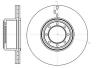 ROADHOUSE 6121610 Brake Disc