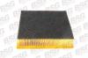 BSG BSG60-135-001 (BSG60135001) Air Filter