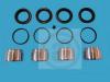 AUTOFREN SEINSA D41126C Repair Kit, brake caliper