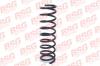 BSG BSG30-305-018 (BSG30305018) Coil Spring
