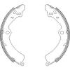 REMSA 4349.00 (434900) Brake Shoe Set