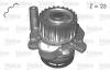 VALEO 506876 Water Pump