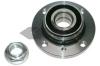 SPIDAN 27361 Wheel Bearing Kit