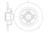 ROADHOUSE 6698.00 (669800) Brake Disc