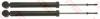 TRW JGT959T Shock Absorber