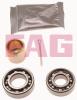 FAG 713623300 Wheel Bearing Kit