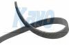 KAVO PARTS DMV1012 V-Ribbed Belts