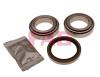 FAG 713690470 Wheel Bearing Kit