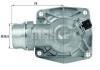 BEHR THERMOT-TRONIK TM16105 Thermostat, coolant