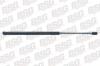 BSG BSG90-980-021 (BSG90980021) Gas Spring, bonnet