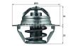 BEHR THERMOT-TRONIK TX10089D Thermostat, coolant