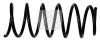 MAPCO 70106 Coil Spring