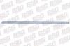 BSG BSG65-924-023 (BSG65924023) Trim/Protective Strip, door