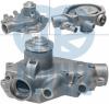 RUVILLE 66300 Water Pump