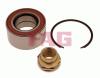 FAG 713690080 Wheel Bearing Kit