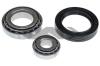 SPIDAN 26385 Wheel Bearing Kit