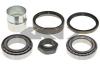 SPIDAN 26800 Wheel Bearing Kit