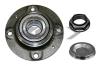 SPIDAN 26997 Wheel Bearing Kit