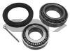 SPIDAN 26852 Wheel Bearing Kit