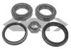 SPIDAN 26723 Wheel Bearing Kit