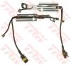 TRW GIC5024 Warning Contact, brake pad wear