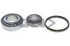 SPIDAN 26324 Wheel Bearing Kit