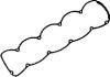 VICTOR REINZ 71-31739-00 (713173900) Gasket, cylinder head cover