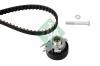 INA 530019910 Timing Belt Kit