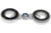 SPIDAN 26481 Wheel Bearing Kit