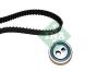 INA 530025210 Timing Belt Kit