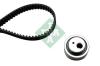 INA 530025810 Timing Belt Kit