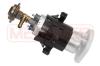 ERA 770079 Fuel Pump